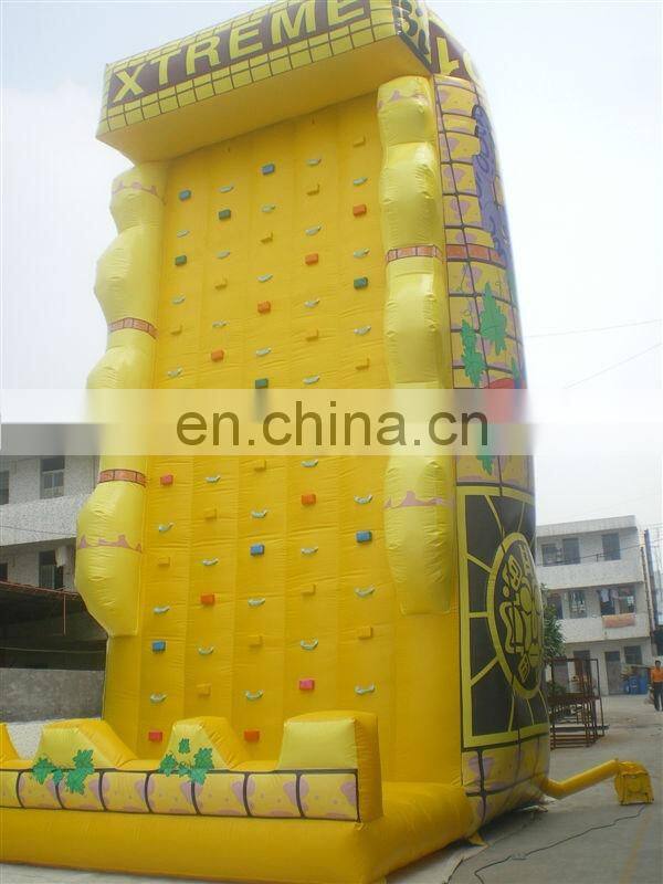 Inflatable Backyard Climbing Wall Obstacle Course