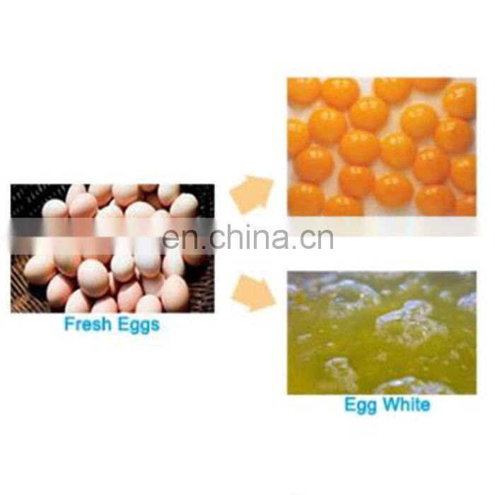 Commercial large scale egg separator egg white yolk separating machine