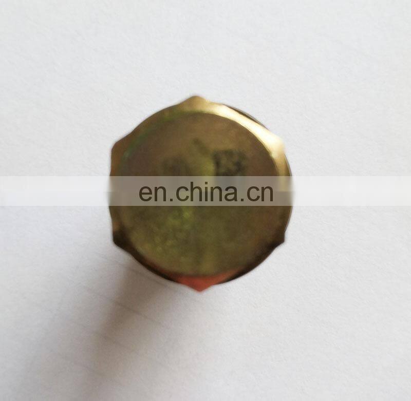 Manufacture Common Rail Pressure Relief Limiter Valve 1110010015