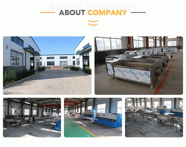 Industrial Electric Fruit and Vegetable Cutter Mahine