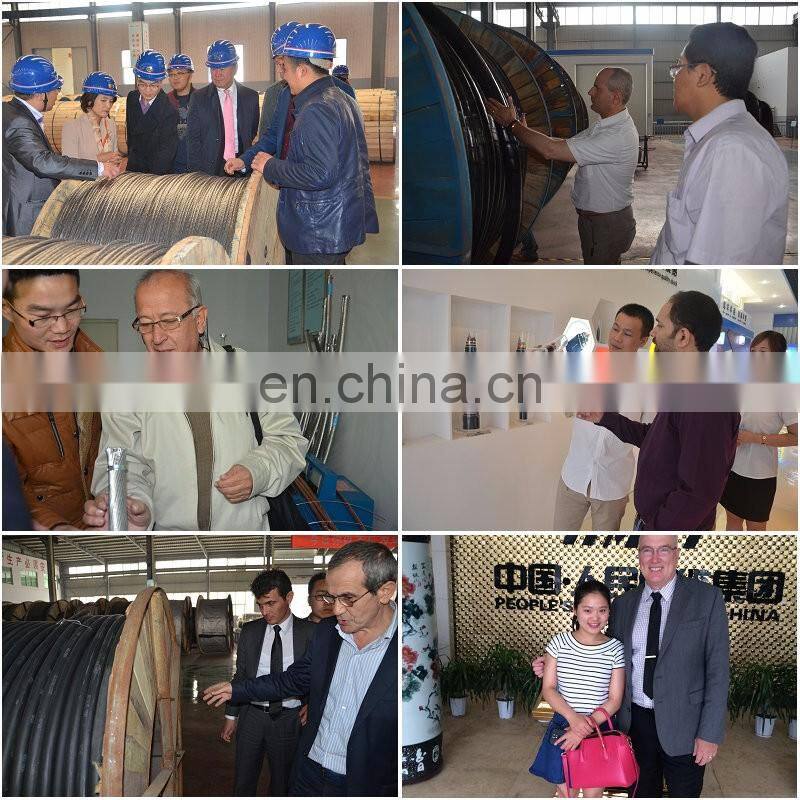 High quality ACSR sale IN Asia