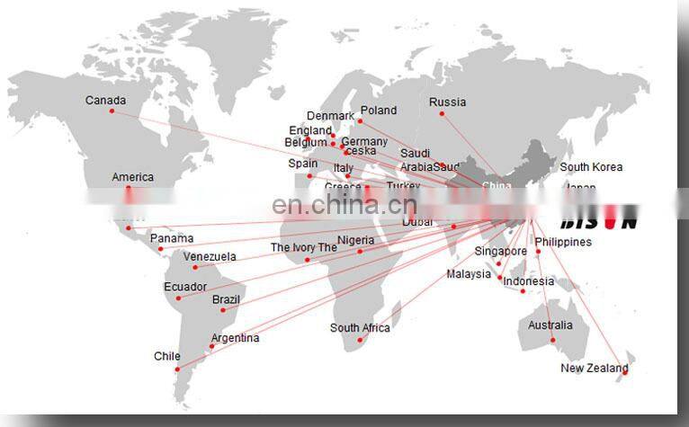 BISON(CHINA) Air-cooled 4-Stroke OEM 10 hp Water Pump Diesel Engine
