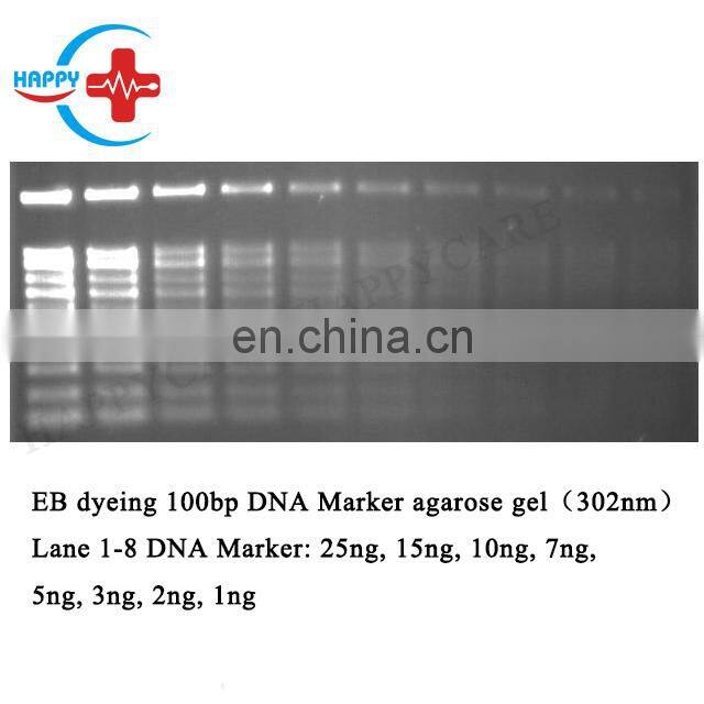 HC-B025A Hot sell Fully Automatic Gel Documentation System with Touch Screen/Integrated Gel Imaging System with Embedded PC