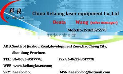 Australia 20141 hot sale Thailand YAG 3D 100w laser marking machine processing factory