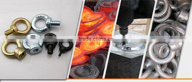 High Quality DIN 580 Swivel Eye Screw