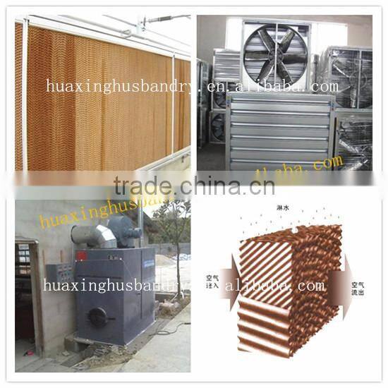chicken farm building broiler poultry farm house design chicken breeding cage for kenya farms house