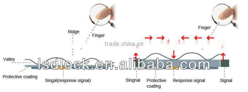 LSD8028 Fingerprint Z-wave Locks Deadbolt Mortise