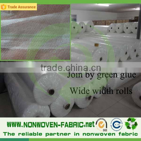 Agriculture Use Biodegradable 100% PP Spunbond Nonwoven Fabric Price