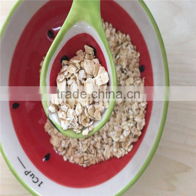 quaker oats quality oat flakes in oats wholesale price