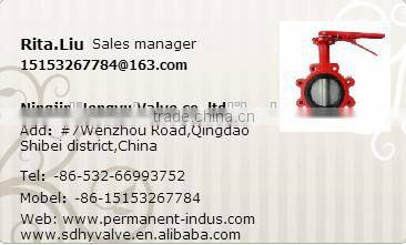Stainless Steel Foot Valve SS304/SS316 Foot Valve ANSI Flange foot valve with strainer