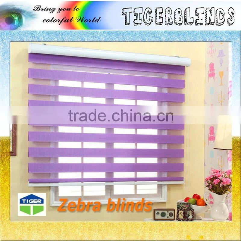 blackout zebra blind