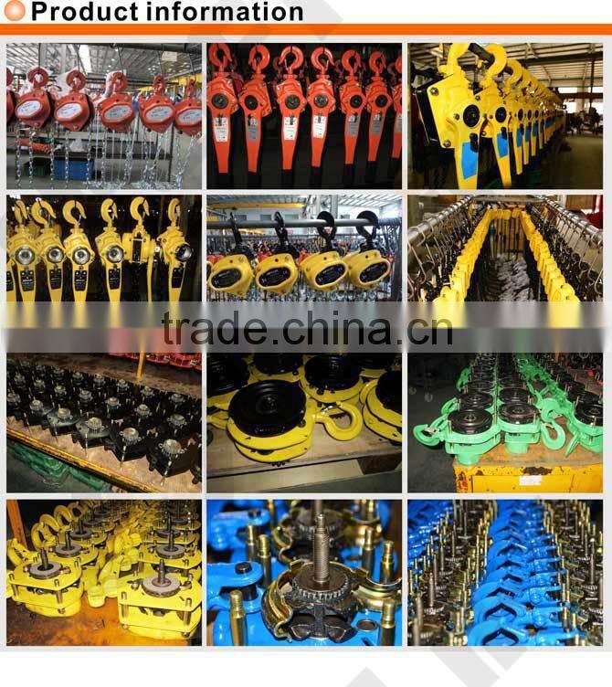 Construction Hoist Harrington Ladder Hoist for Sale