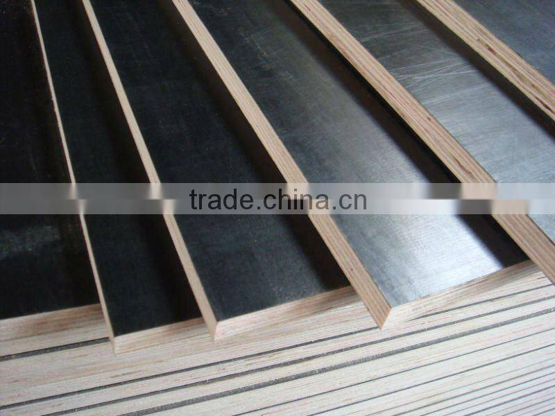 Bintangor Plywood,Linyi Bintangor Plywood China