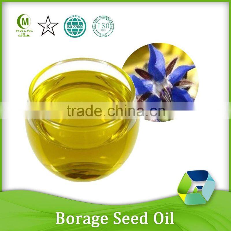 GMP Manufacturing Pure Natural Refined Pumpkin Seed Oil