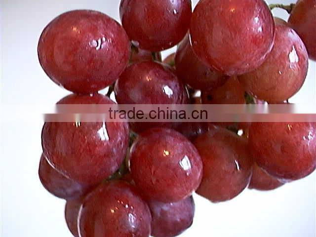 Fresh style and grapefruit type fresh fruit from China