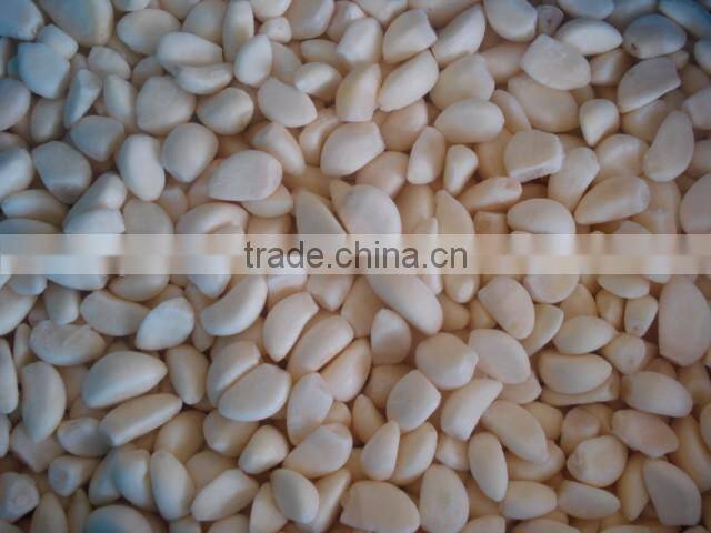 IQF Peeled Garlic
