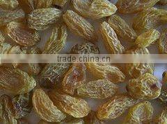 Jiexun raisin color sorter