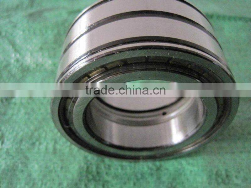 Doule Row Cylindrical Roller Bearing SL04 5010PP