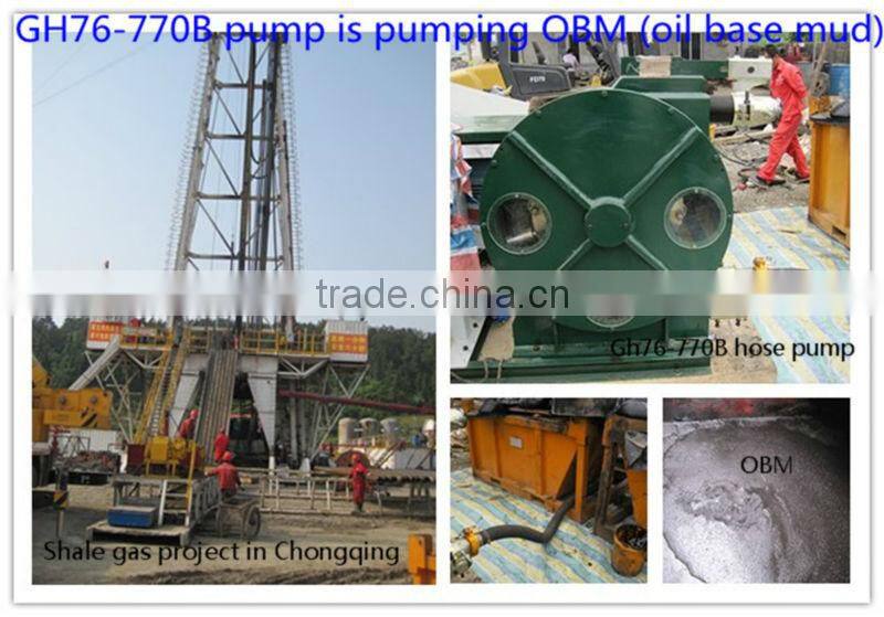 Suitable for High Density High Viscosity with CE ISO Squeeze Pump