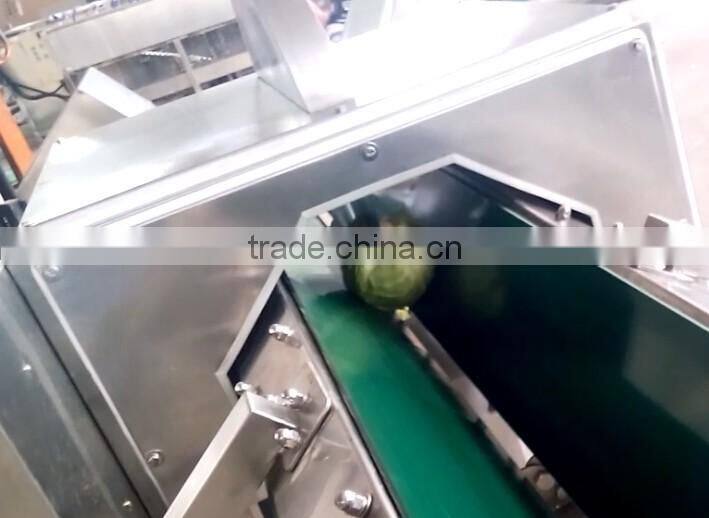 Fruit Vegetable Tomato Half Cutting Machine