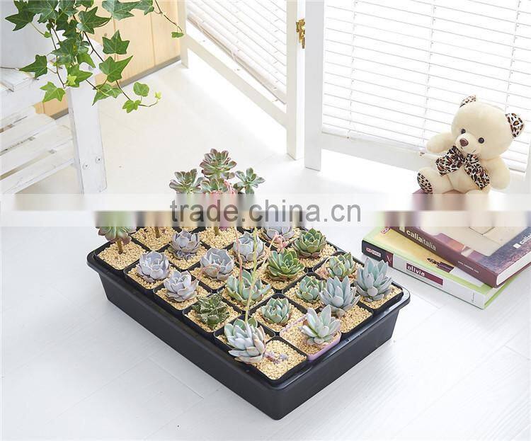 Plastic 24 Divided Plant Flower Pots