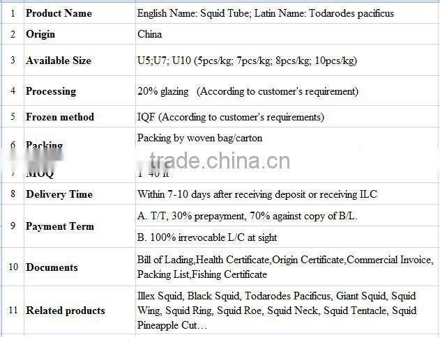 Frozen Squid Tube U5 U7 U10 IQF