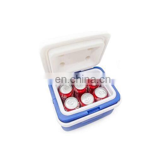 Wholesale Outdoor Camping Mini Plastic 5L medical cooler box
