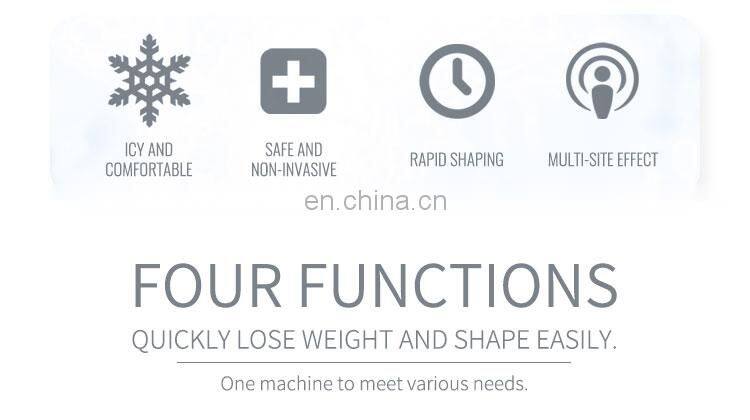 2020 Best Professional Fat Freeze Criolipolisis Machine cool Slimming 2 handles work together