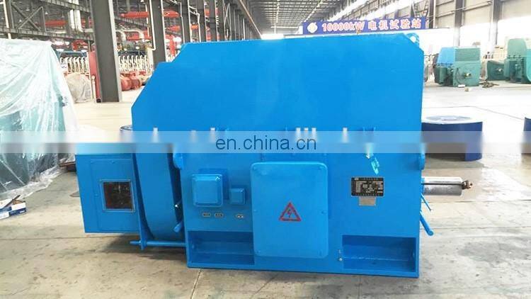 11KV high voltage three phase induction motor