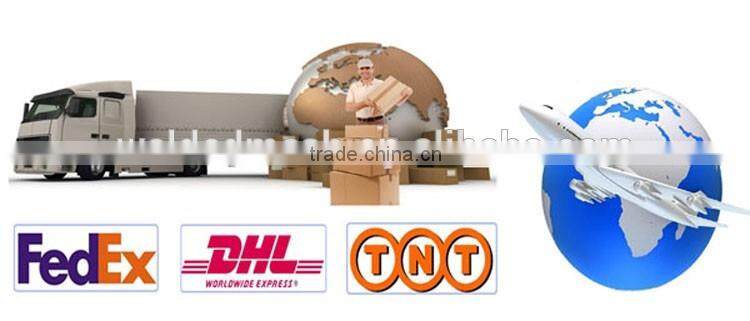 electro galvanzied barbed wire