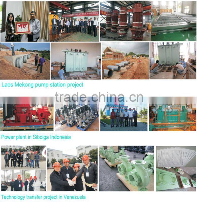 Electrical Single-suction Chemical Pump 1.6Mpa