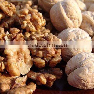 Walnut Kernels