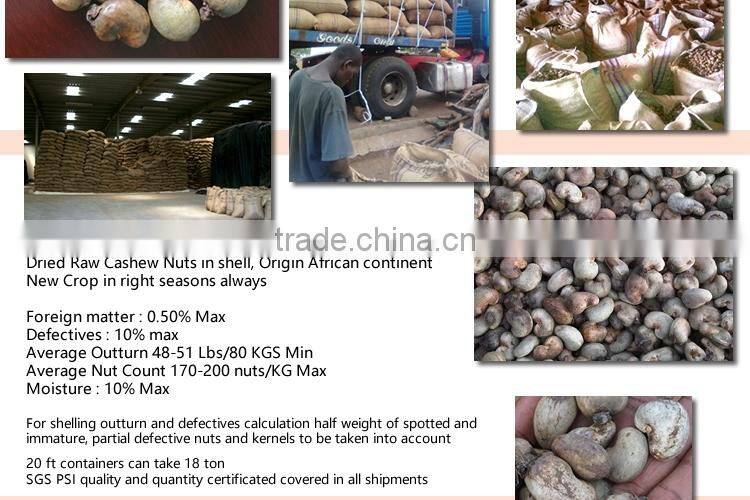 RCN/Cheap Raw Cashew Nuts in shell/African Cashew low price Outturn 47-52 Lbs/80 KGS Min(skype: ste.nanking)