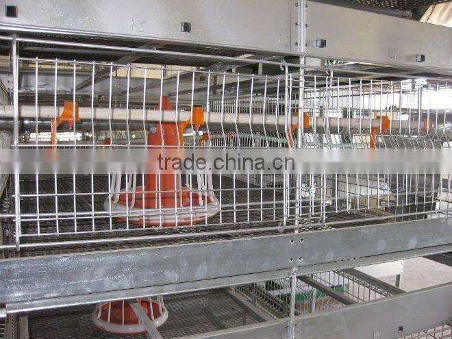poultry farming commercial chicken coops