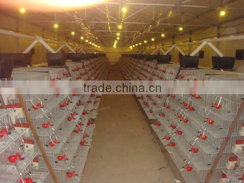 satinless steel metal quail cage for laying hens
