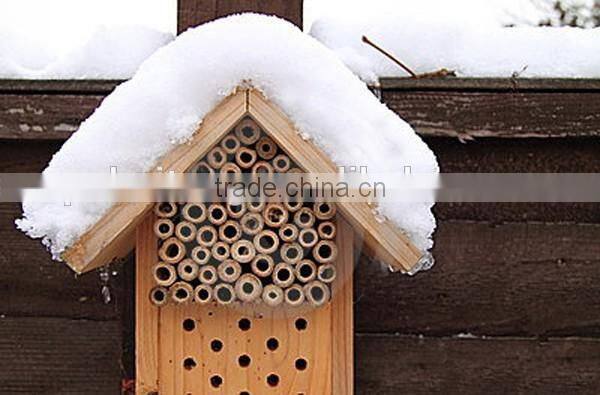 Insect house box