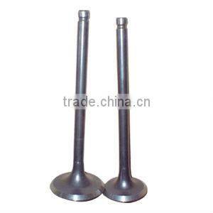 High gurantee GY6 125cc motorcycle exhaust valve