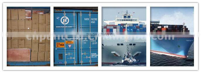 Adult Durable 70cc Mini Chopper Motorcycle