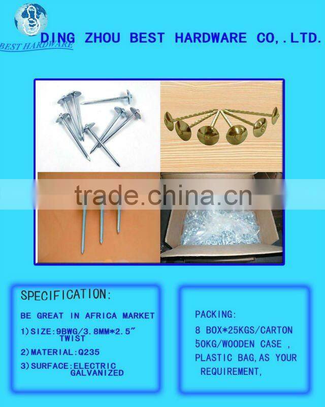 9gauge galvanized umbrella head ring shank roofing nail