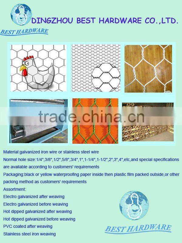 Hexagonal wire mesh(factory)