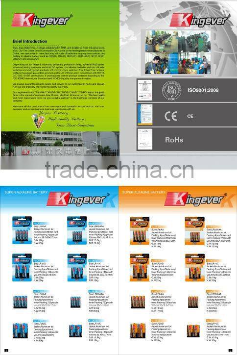 9V Zinc Carbon Battery
