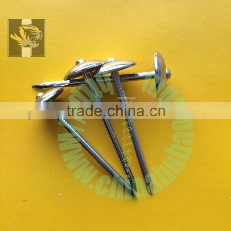 Weave shank diamond point Q195 galvanizing roof nails