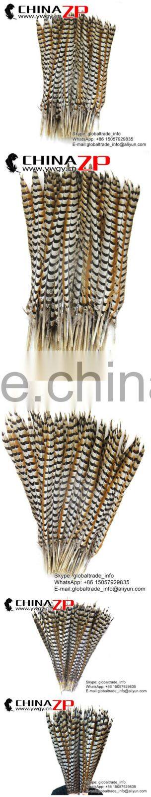 No.1 Manufactor ZPDECOR Best Selling Cheap Long Natural 60-70cm Length Reeves Venery Pheasant Tail Feathers