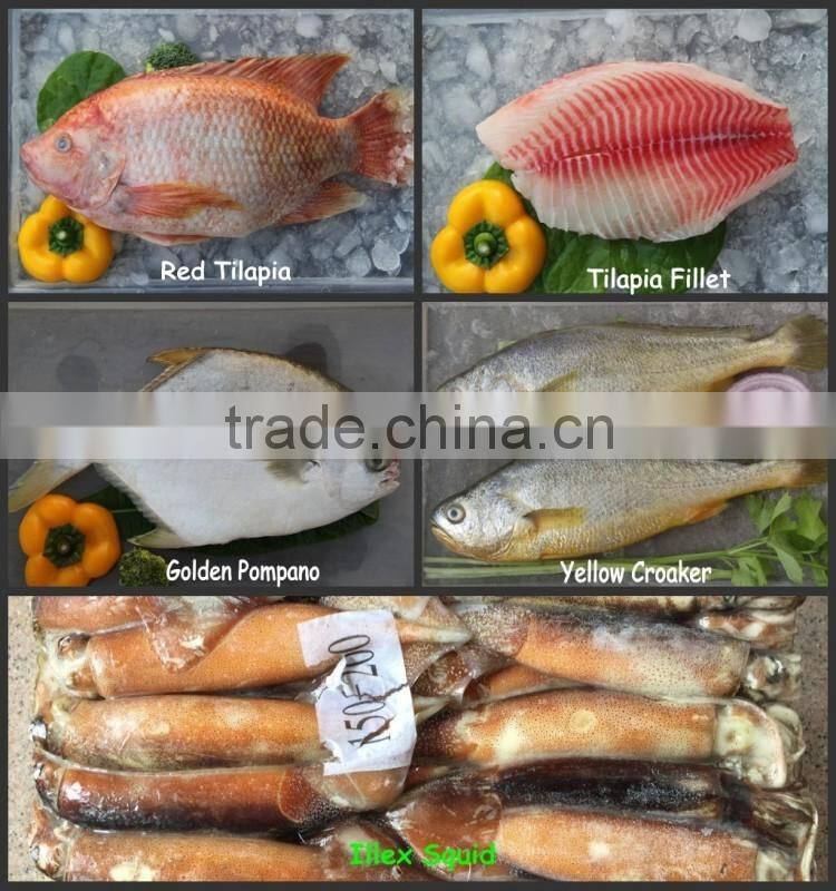 Frozen Yellow Croaker Fish Price