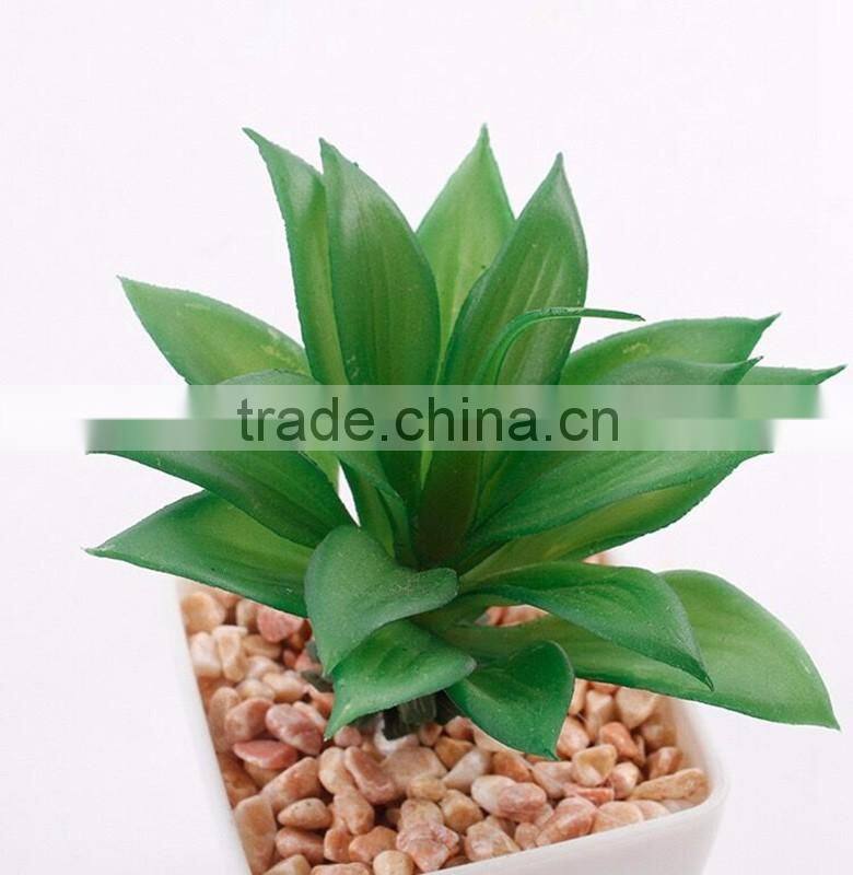 fake plant succulent plants with plot