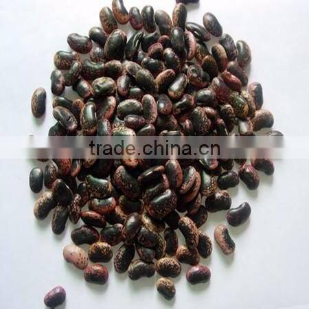 Private Label Organic Hulled Hemp Seed,Hemp Seeds,Shelled Hemp Seeds