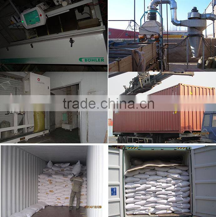 Best Quality Sunflwoer Seeds Factory