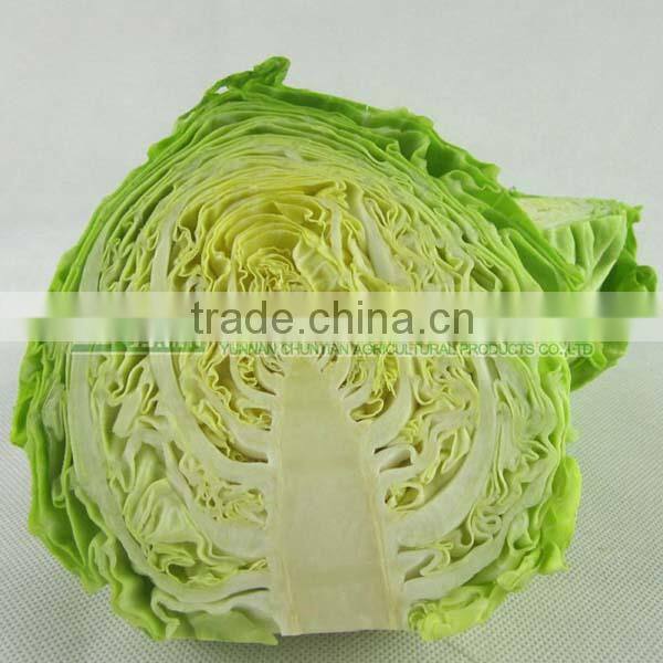 best green sweet cabbage on sale 2016 new harvest type white cabbage