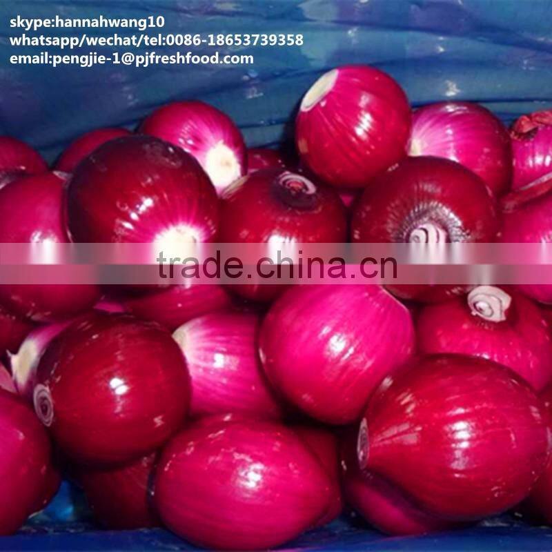 2016 new crop fresh peeled onion