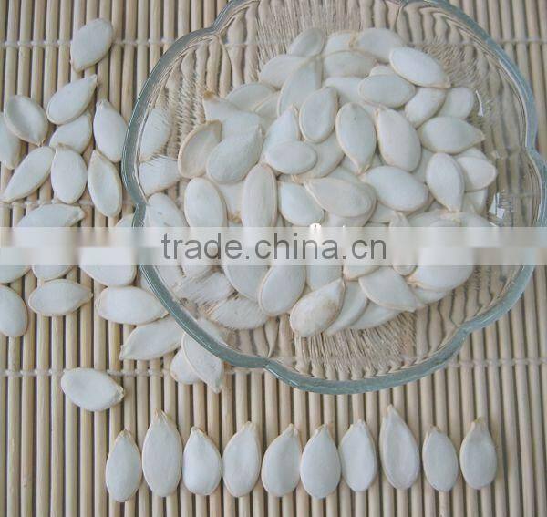 wholesale delicious sunflower seeds